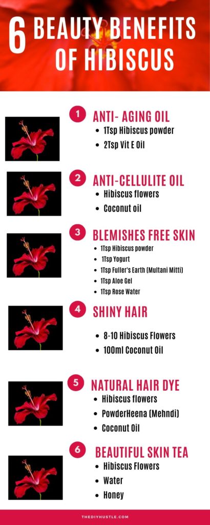 hibiscus for skin