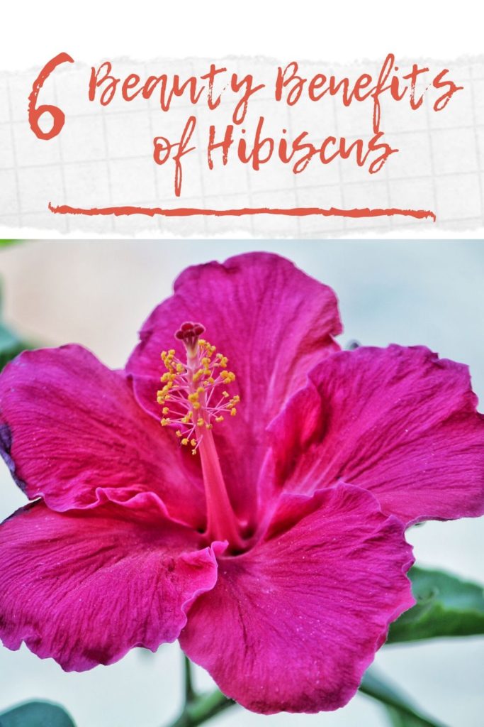 hibiscus for skin beauty benefits