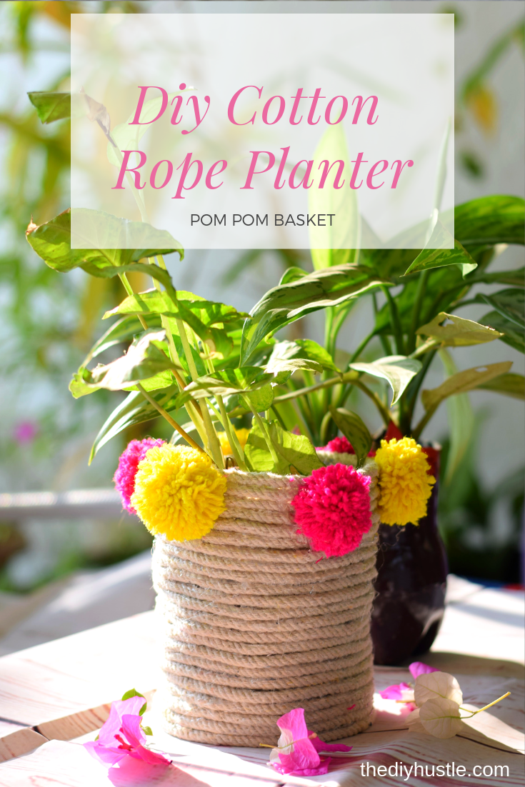 Rope Basket Planter