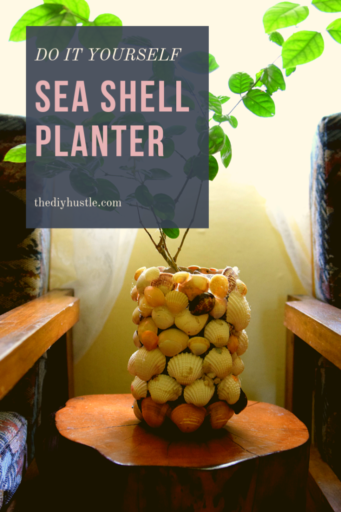 sea shell planter