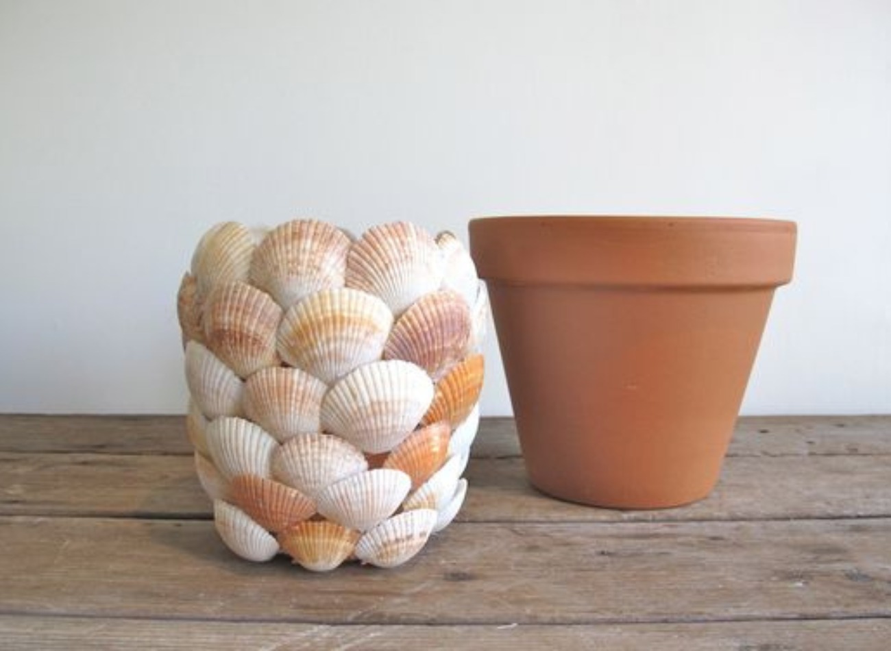 shell planter
